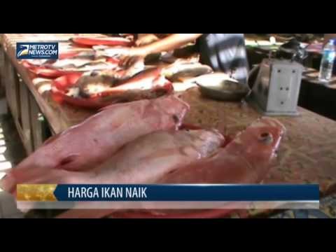 Jelang Ramadan, Harga Ikan Naik