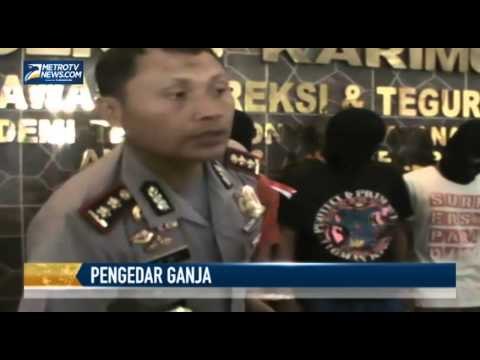 Polisi Tangkap Komplotan Pengedar Ganja