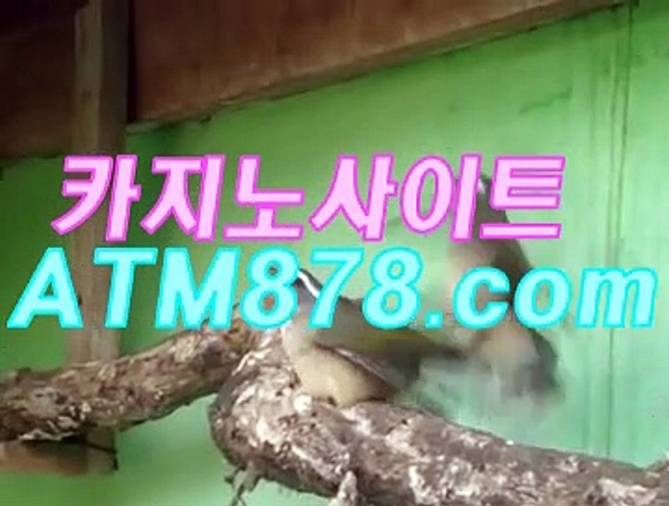 サ인터넷카지노추천 《ＳＴＫ424. CΟM》