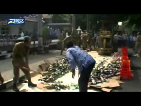 Ribuan Borol Miras Dimusnahkan