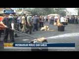 Polres Sukabumi Musnahkan Miras dan Ganja