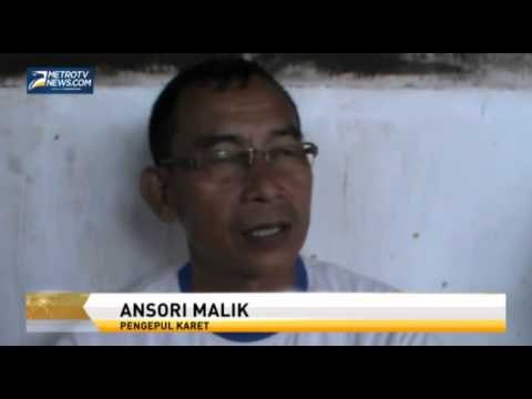 Harga Getah Karet di Mura Mulai Merangkak Naik