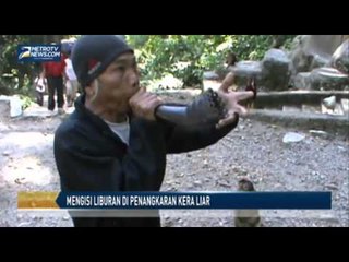 Mengisi Liburan di Penangkaran Kera Liar