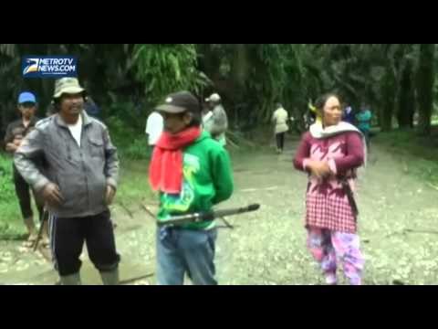 Unjuk Rasa Sengketa Lahan Sawit di Mamuju Diwarnai Kericuhan
