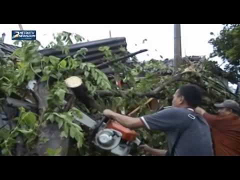 Akibat Pohon Tumbang Jalur Wisata Borobudur Lumpuh