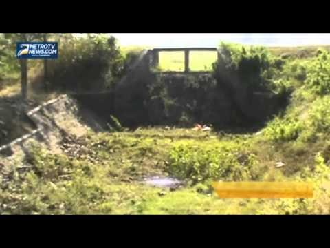 Waduk Kering, Petani Jagung Gagal Panen