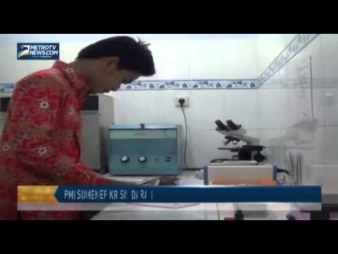 PMI Sumenep Krisis Darah