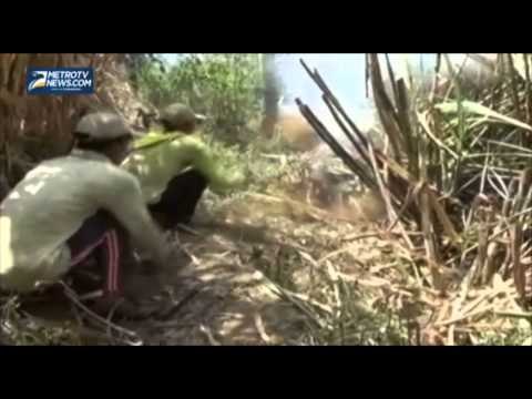 Puluhan Hektar Lahan Tebu Ludes Terbakar