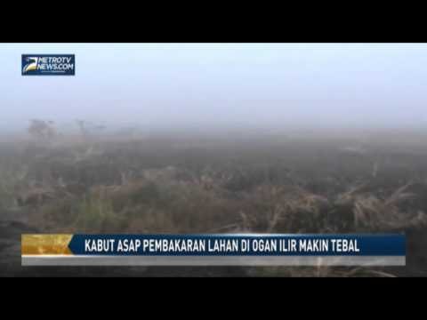 Kabut Asap Pembakaran Lahan di Ogan Ilir Makin Tebal