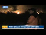 Ratusan Hektar Lahan Cagar Alam Gunung Guntur Terbakar