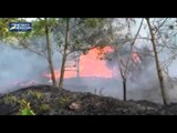 Ratusan Hektar Lahan di Hutan Register 45 Mesuji Terbakar