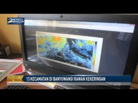 13 Kecamatan di Banyuwangi Rawan Kekeringan
