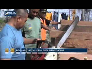 Ratusan Batang Kayu Ilegal Disita dari Hutan TNBB