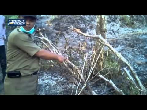 Seorang Warga tewas Terbakar Setelah Membakar Lahan