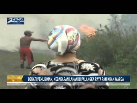 Dekati Pemukiman, Kebakaran Lahan di Palangka Raya Panikkan Warga
