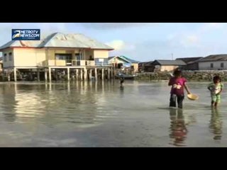 Air Laut Wakatobi Surut, Warga Manfaatkan Cari Kerang