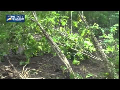 Longsor dan Pohon Tumbang Tutup Jalan Trans Sulawesi