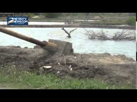 Puluhan Tiang Listrik Roboh Diterjang Angin Kencang