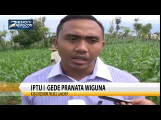 Penemuan Mayat di Ladang Jagung Gegerkan Warga