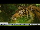 1000 Meter - Menanti Penjelajah Angkasa Kembali