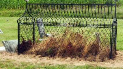 O Mistério dos Túmulos Enjaulados