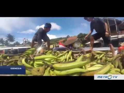 Idenesia: Setapak Harmoni dari Baduy (3)