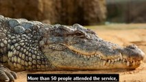 Australian Town Holds Funeral For 80-Year-Old Crocodile