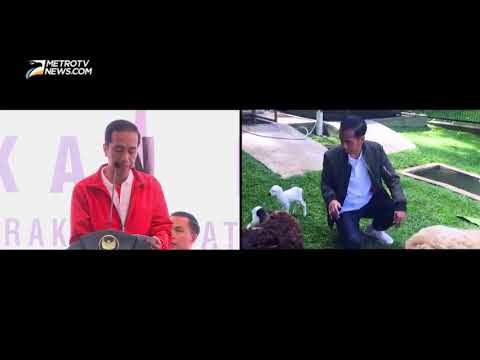 President's Corner: Saat Presiden Belajar Beternak Domba