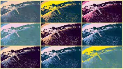 Oceana breaks and gates