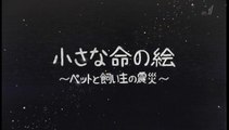 ＢＳ１スペシャル「小さな命の絵～ペットと飼い主の震災～」20190309_