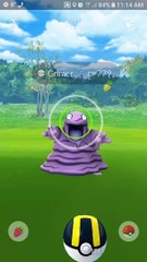 Pokémon GO Grimer