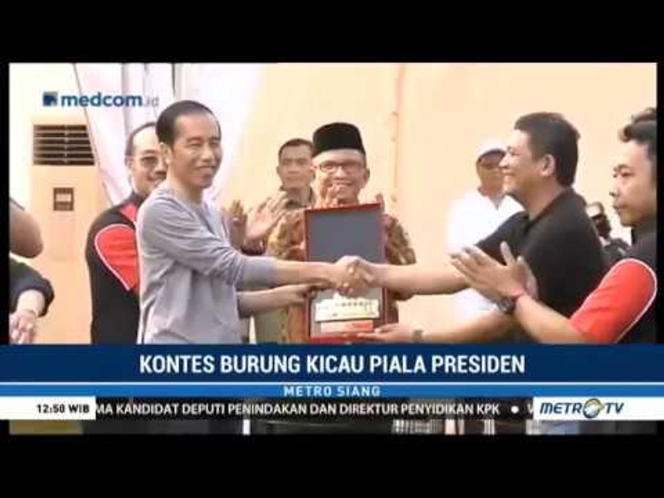 Saat Burung Murai Batu Jokowi Ikut Lomba Burung...