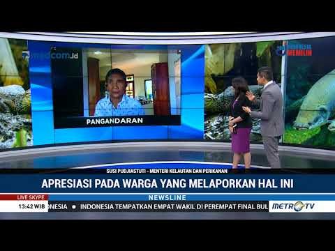 Menteri Susi: Ikan Predator Tak Boleh Masuk ke Indonesia