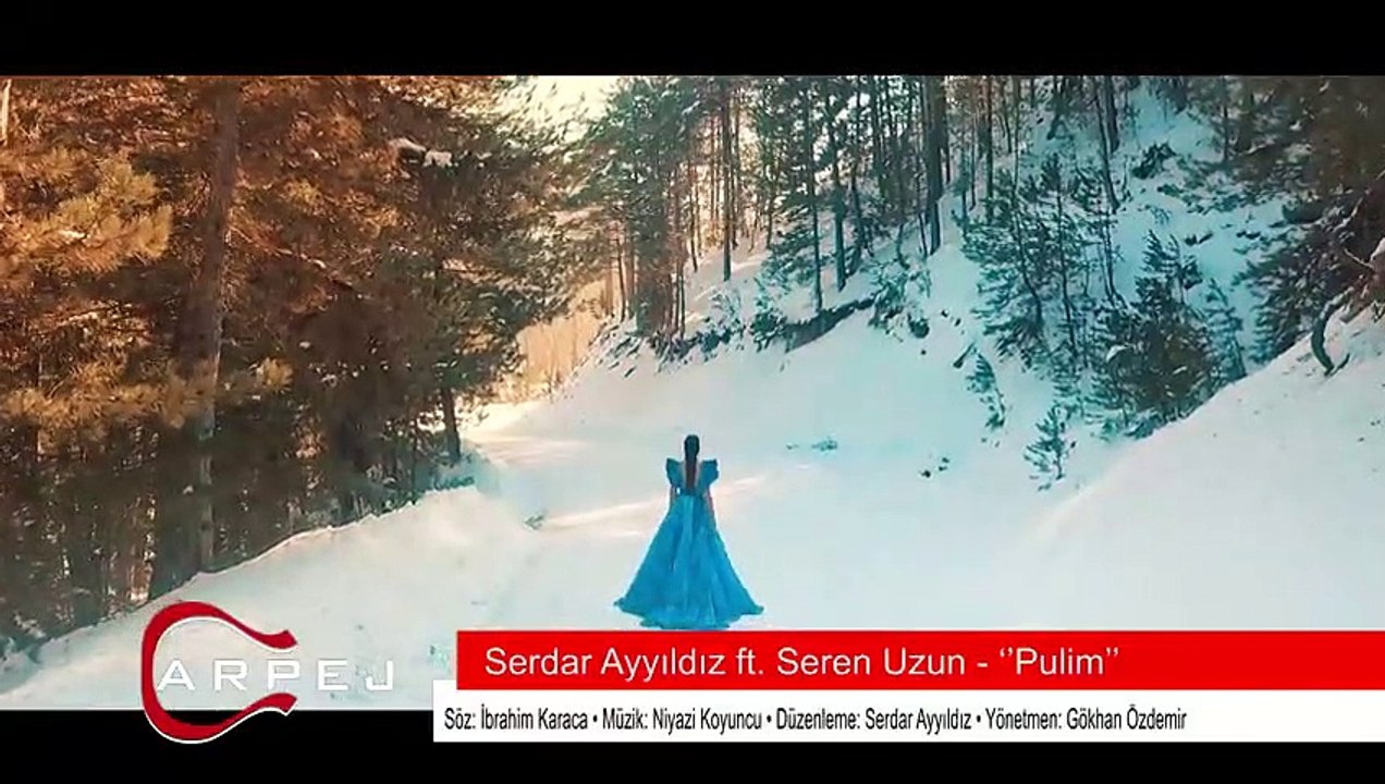 Serdar Ayyıldız feat. Seren Uzun - Pulim