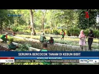 Serunya Bercocok Tanam di Kebun Bibit Surabaya
