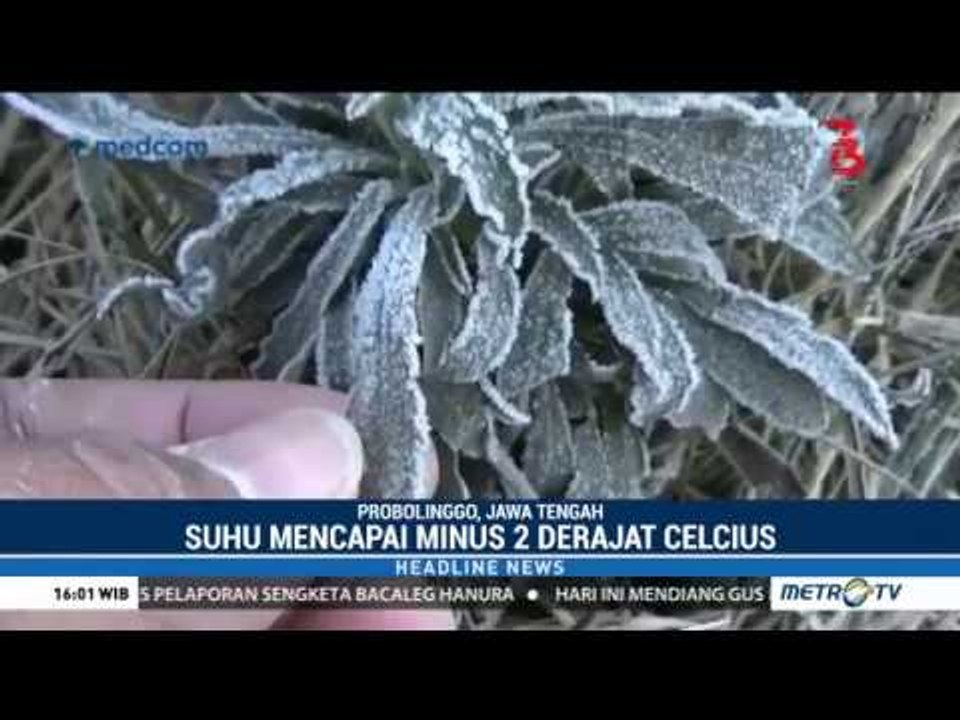 Butir Es Muncul di Gunung Bromo, Suhu Turun Hingga Minus 2 Derajat Celcius