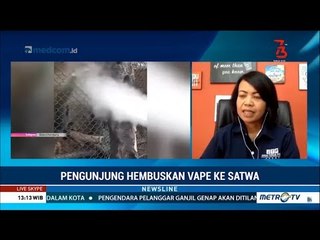 Kondisi Monyet yang Disembur Uap Vape Masih Dipantau