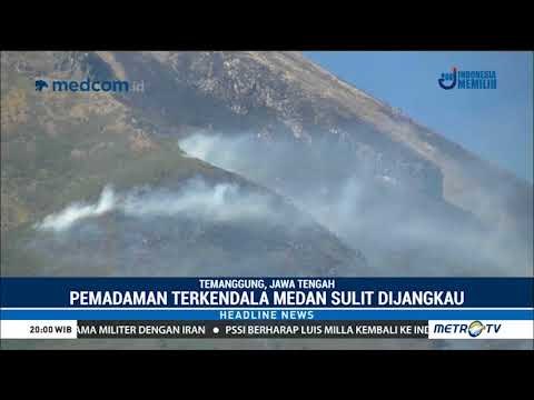Amuk Api Di Ketinggian Gunung : Pemadaman Karhutla Gunung Sindoro Terkendala Medan Yang Sulit