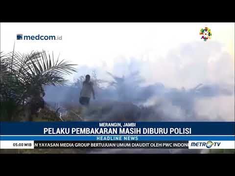 Miris ! 2 Hektar Lahan Sawit di Jambi Terbakar