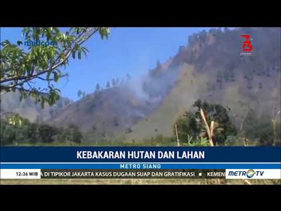 Misterius ! Hutan Danau Toba Terbakar Seluas Ribuan Hektar