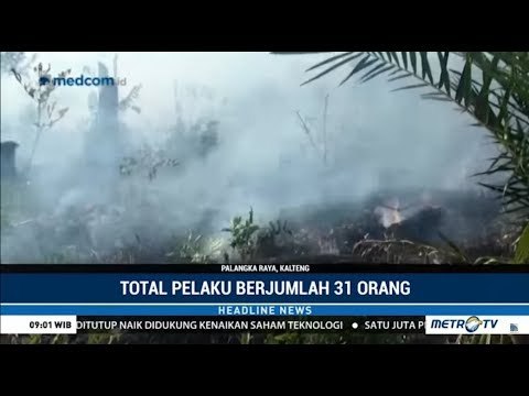 Aparat : Ada 31 Orang Tersangka Bakar Hutan Dan Lahan Di Kalimantan Tengah