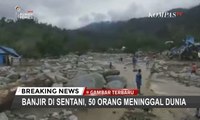 Banjir Bandang Sentani, Batu-batu Terbawa Arus & Hancurkan Rumah Warga