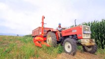 El Mundo Moderno De Los Granos De Maíz De La Excavadora De La Cosechadora De La Tecnología De La Agricultura Tractor Cargador De Camión De Máquinas