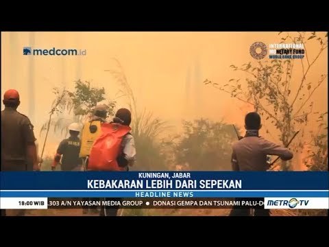 Sepekan Dilalap Api, Seribu Hektar Hutan Di Gunung Ciremai Jawa Barat Terbakar