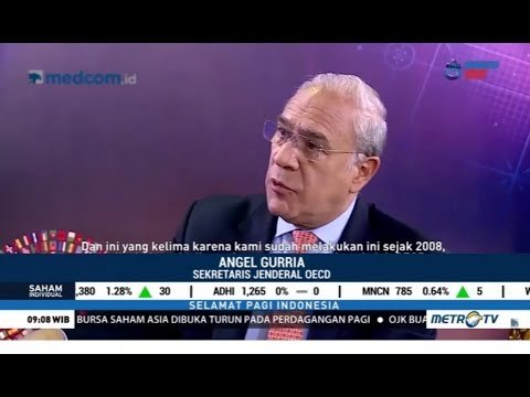 RI Dipuji oleh Organisasi Negara-negara Termaju Dunia (OECD)