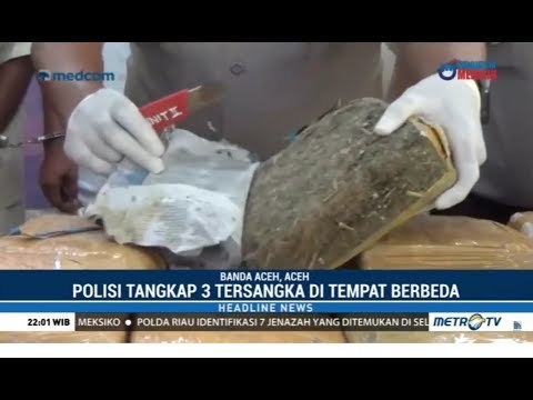 Polisi Gagalkan Pengiriman 510 Kg Ganja ke Jakarta