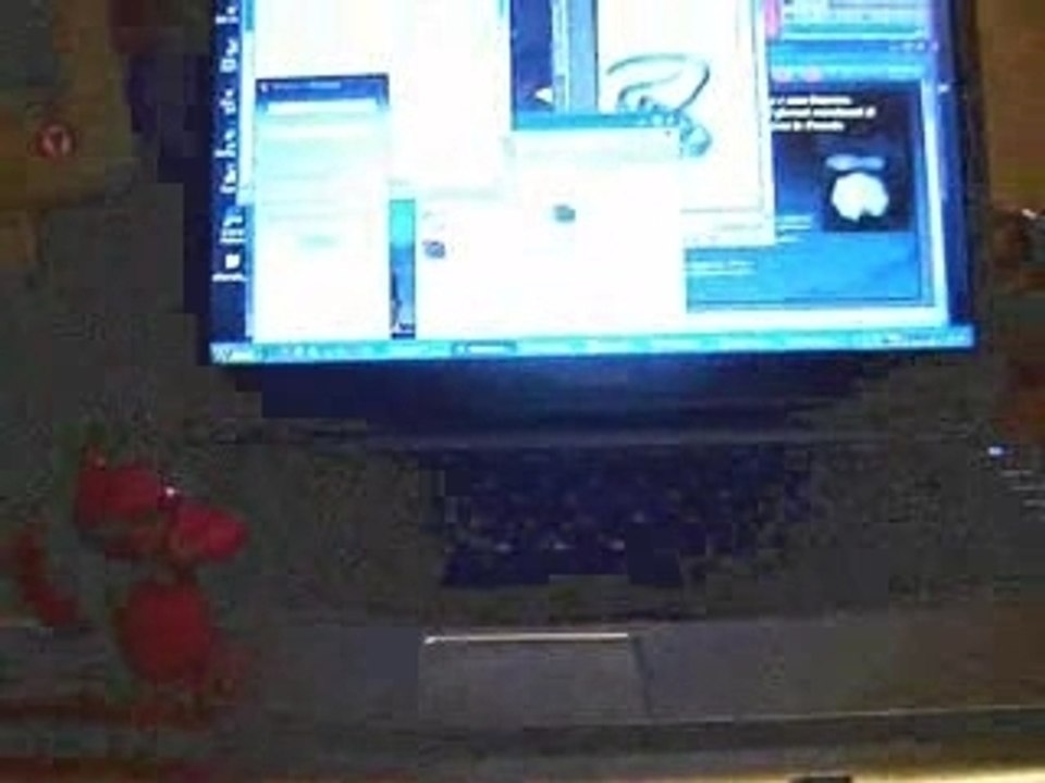 Il guardiano