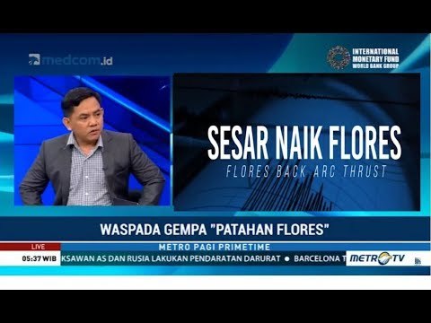 Waspada Gempa Patahan Flores Setelah Terjadi Gempa Situbondo