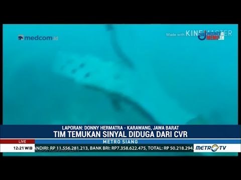 Basarnas Temukan Titik Puing Besar Lion Air PK-LQP