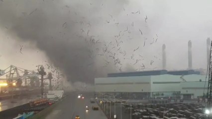 지구 온난화의 경고...내륙 용오름 잦아진다 / YTN